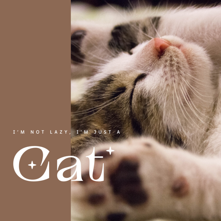 今日の1分話：やりたいことがない時の、実はやりたいこと