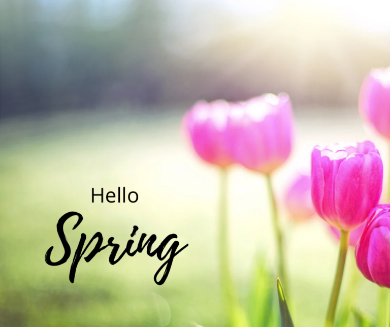 今日の1分話：置かれた場所で咲くことと天職